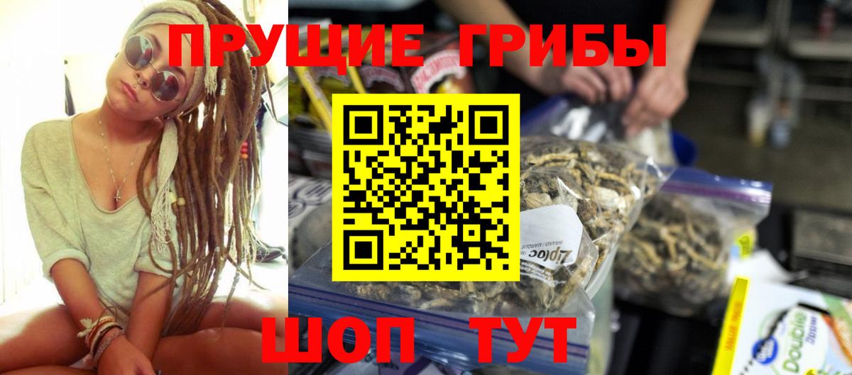 Псилоцибиновые грибы GOLDEN TEACHER Новороссийск